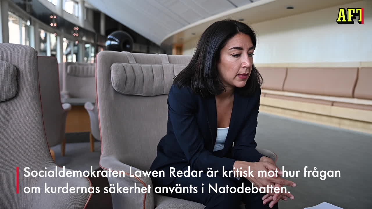 Lawen Redar: Natomotståndare utnyttjade kurdfrågan