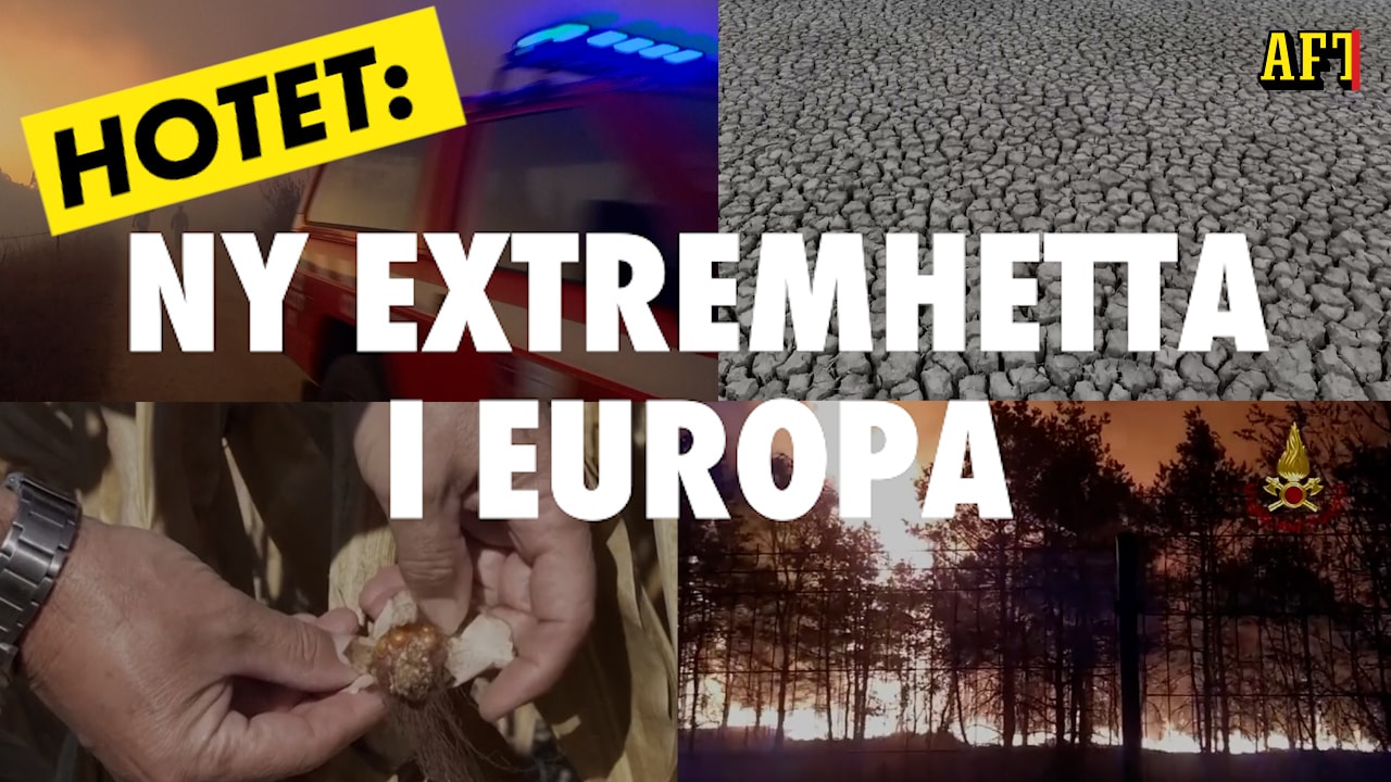 Hotet: Extremhetta i Europa 2023