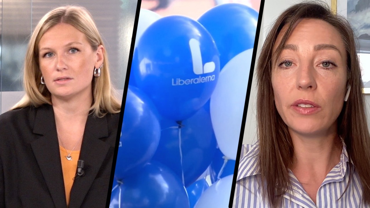 Carl B (L) Hamilton lämnar riksdagen