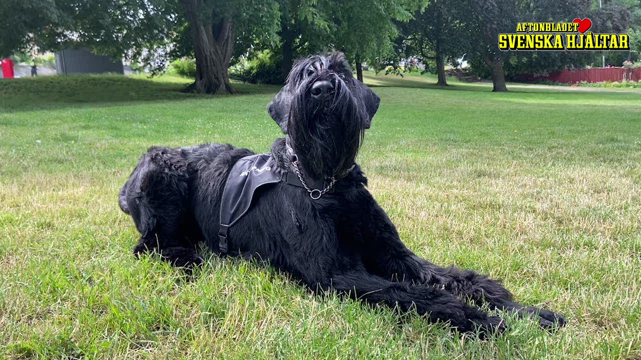 Hör Fia berätta om unika hunden Lykke