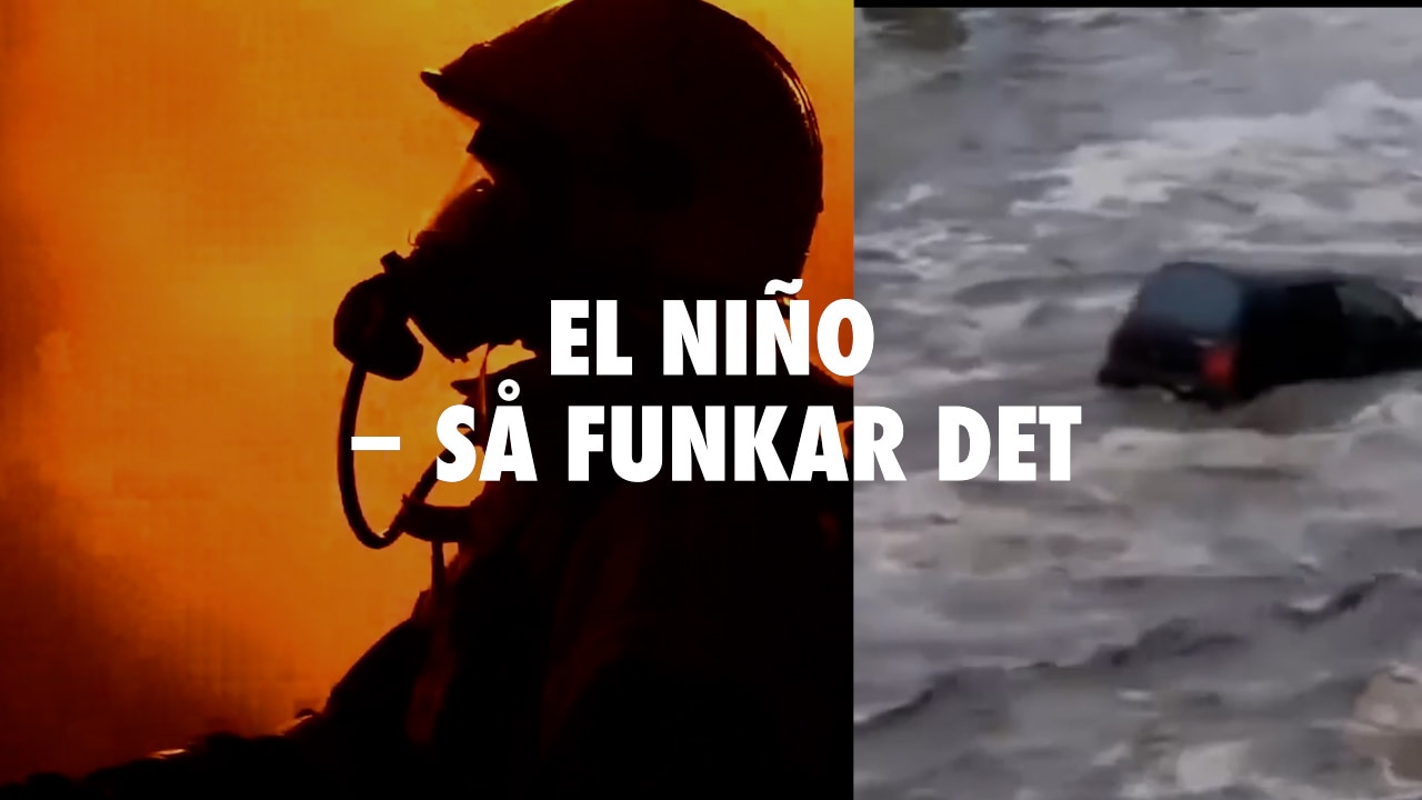 Det här är El Niño – fem punkter