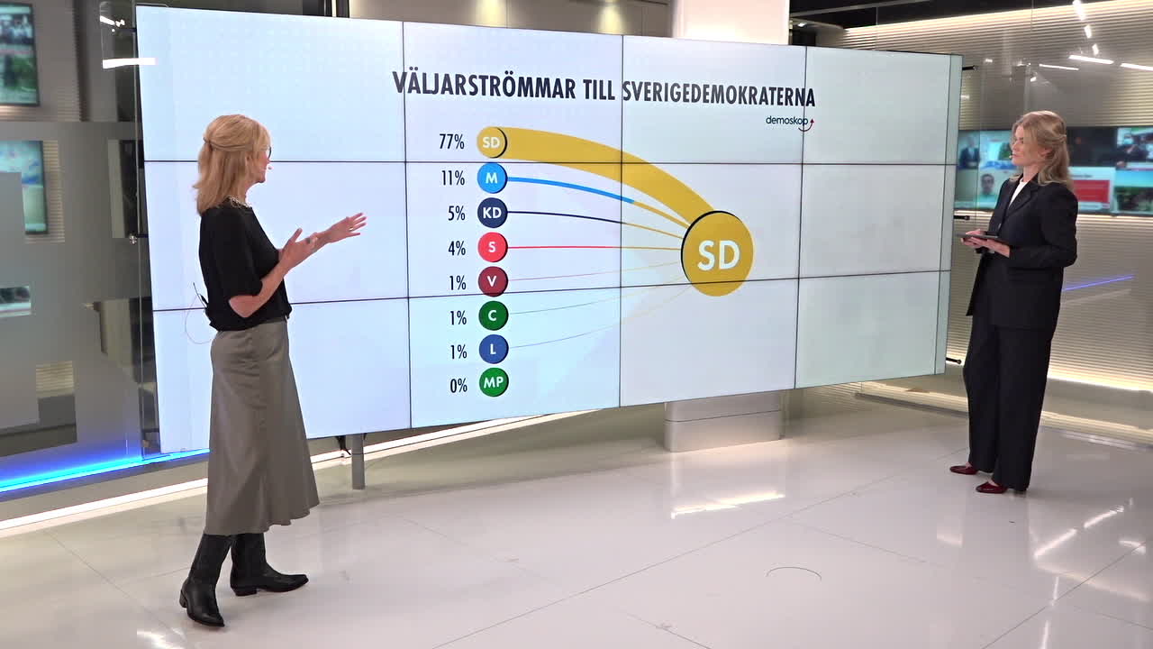 Därför fick SD så många röster