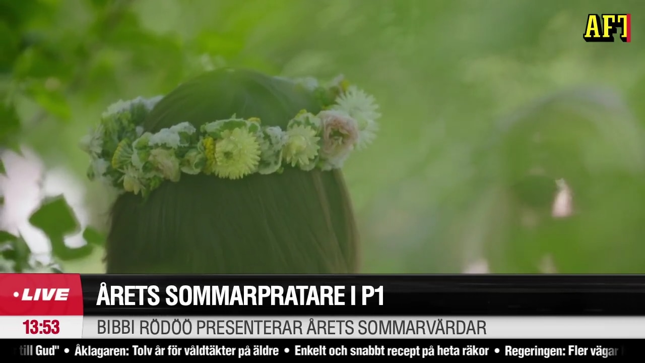 ÅRETS SOMMARPRATARE I P1