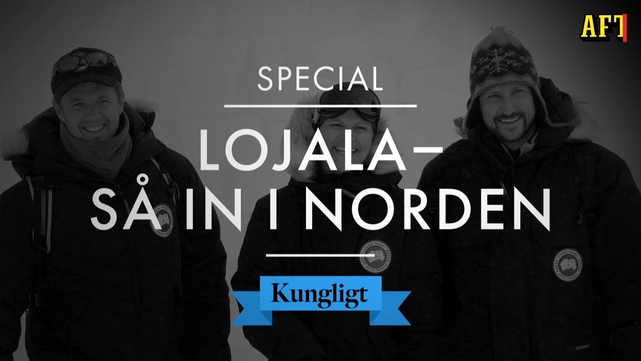 Lojala – så in i Norden