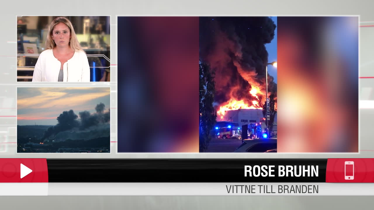 Vittnet Rose: "Var väldigt mycket smällar"