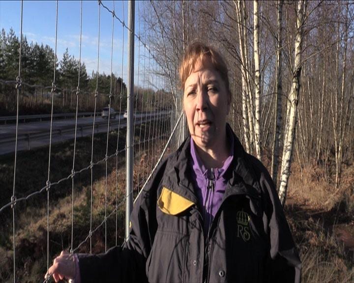 Susann drog ut liten flicka ur brinnande bil