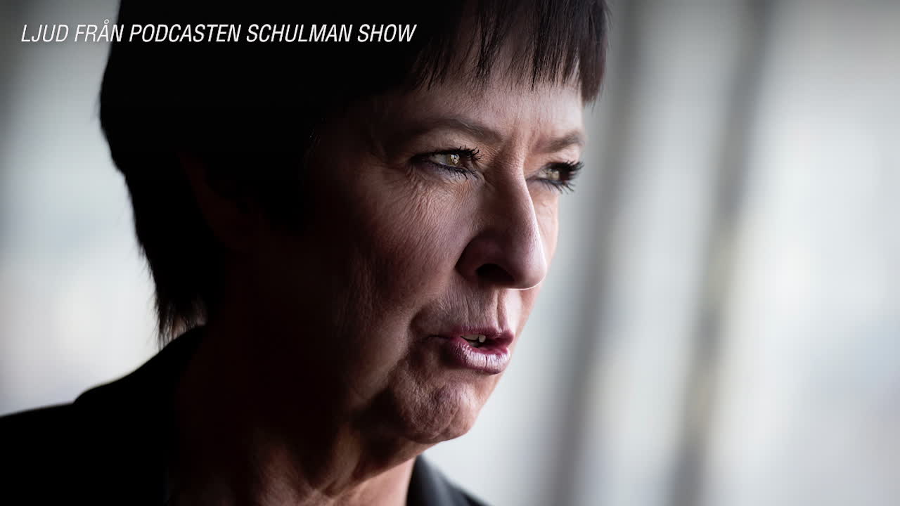 Mona Sahlin om medierna: ”Slog ner mig fullständigt”