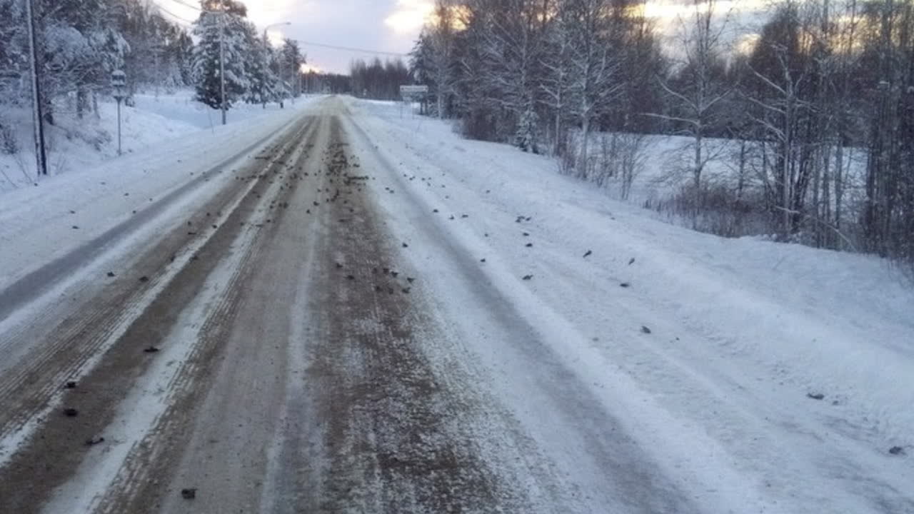 Mikaels mystiska fynd på vägen: “Aldrig sett något liknande”