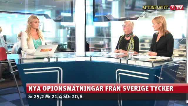 SD ökar enligt nya undersökningar