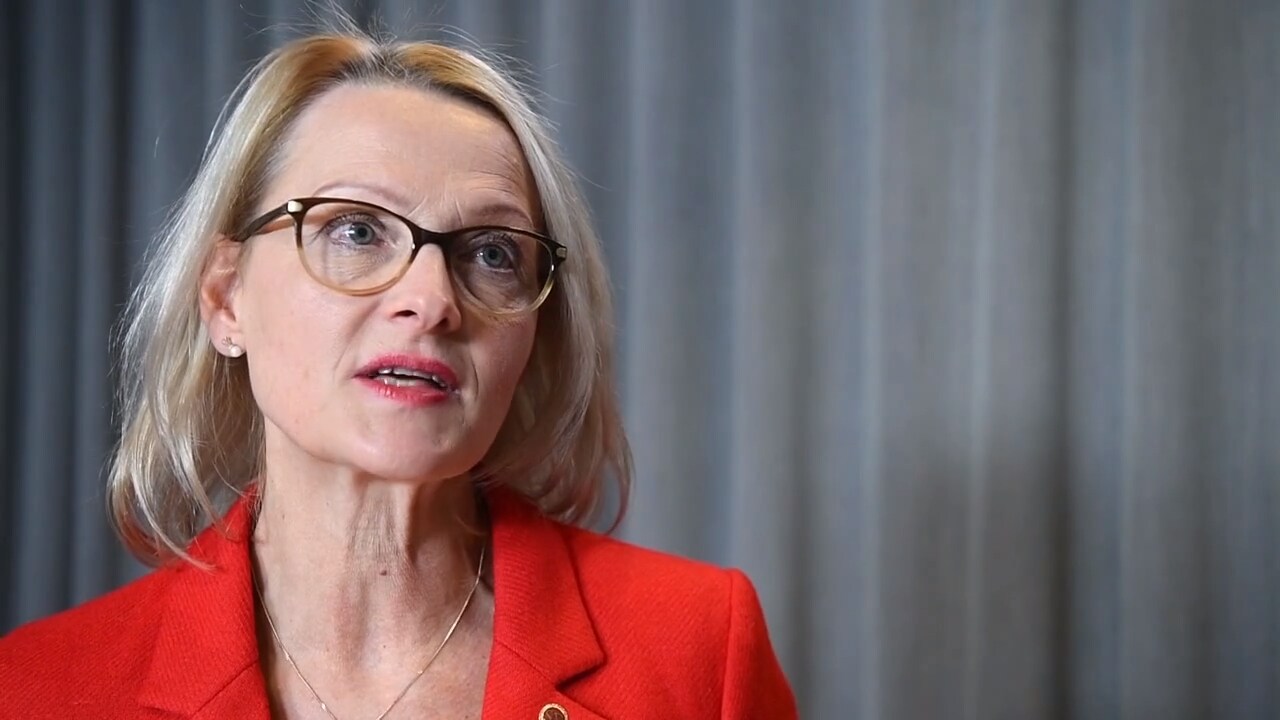 Heléne Fritzon (S): ”Motkraft till högerextrema i Europa”