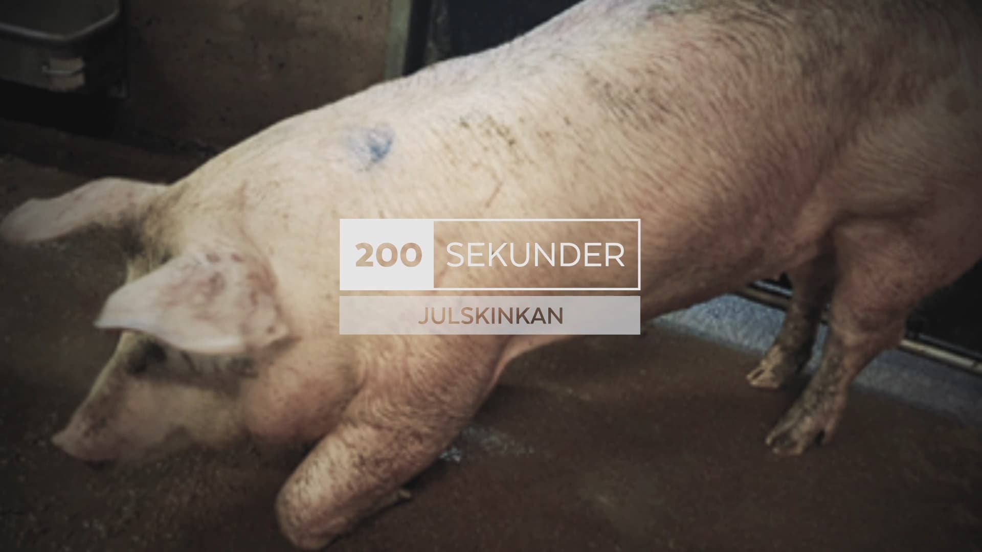200 sekunder – Julskinkan