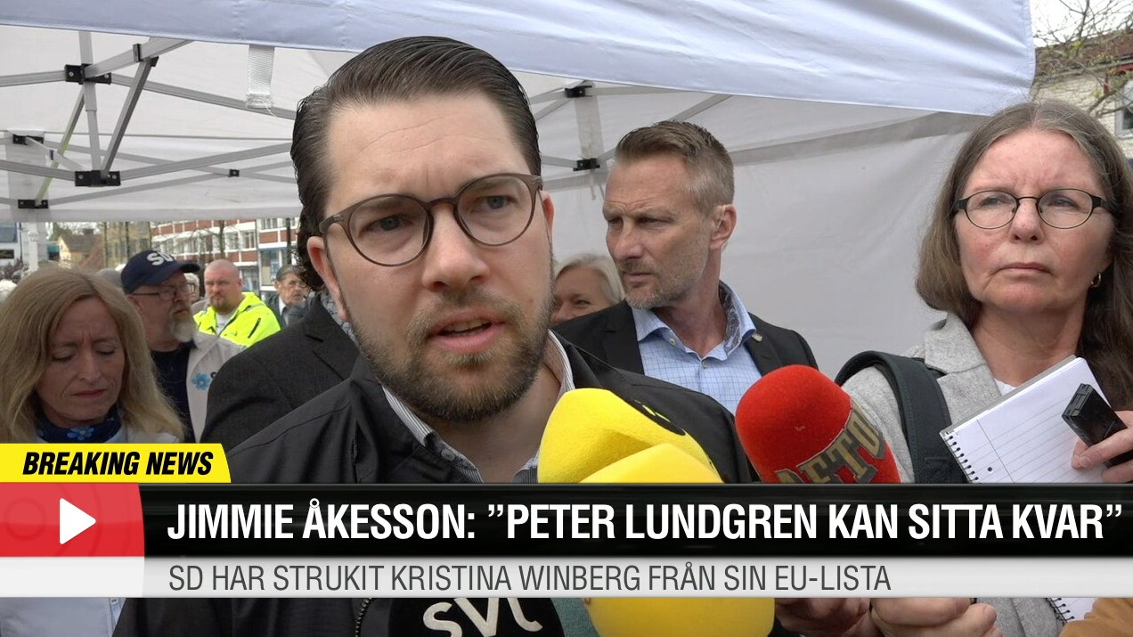 Jimmie Åkesson: "Peter Lundgren kan sitta kvar"
