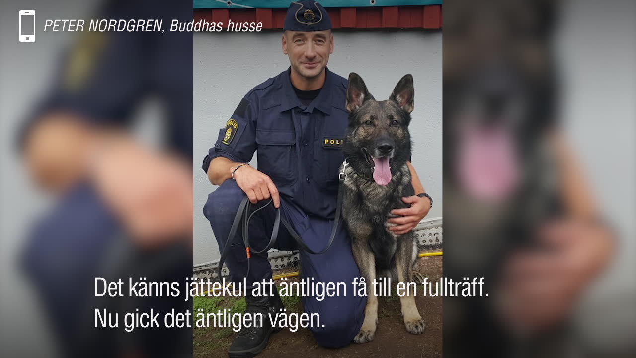 Här är Sveriges bästa polishund