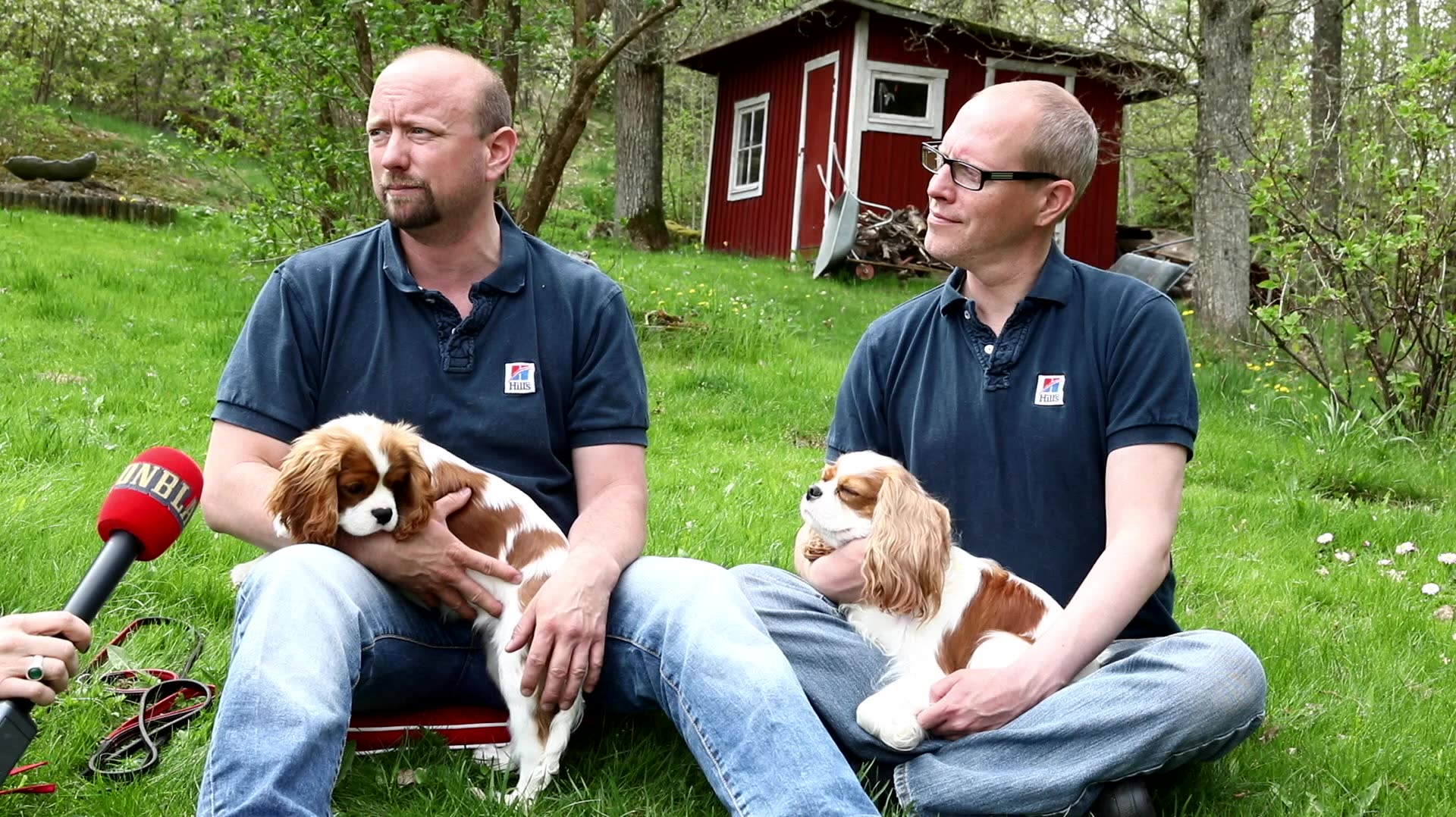 De kämpar för misshandlade hundar och katter