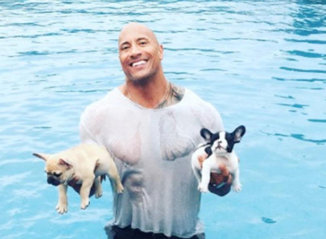 Superstjärnan är nattens hjälte