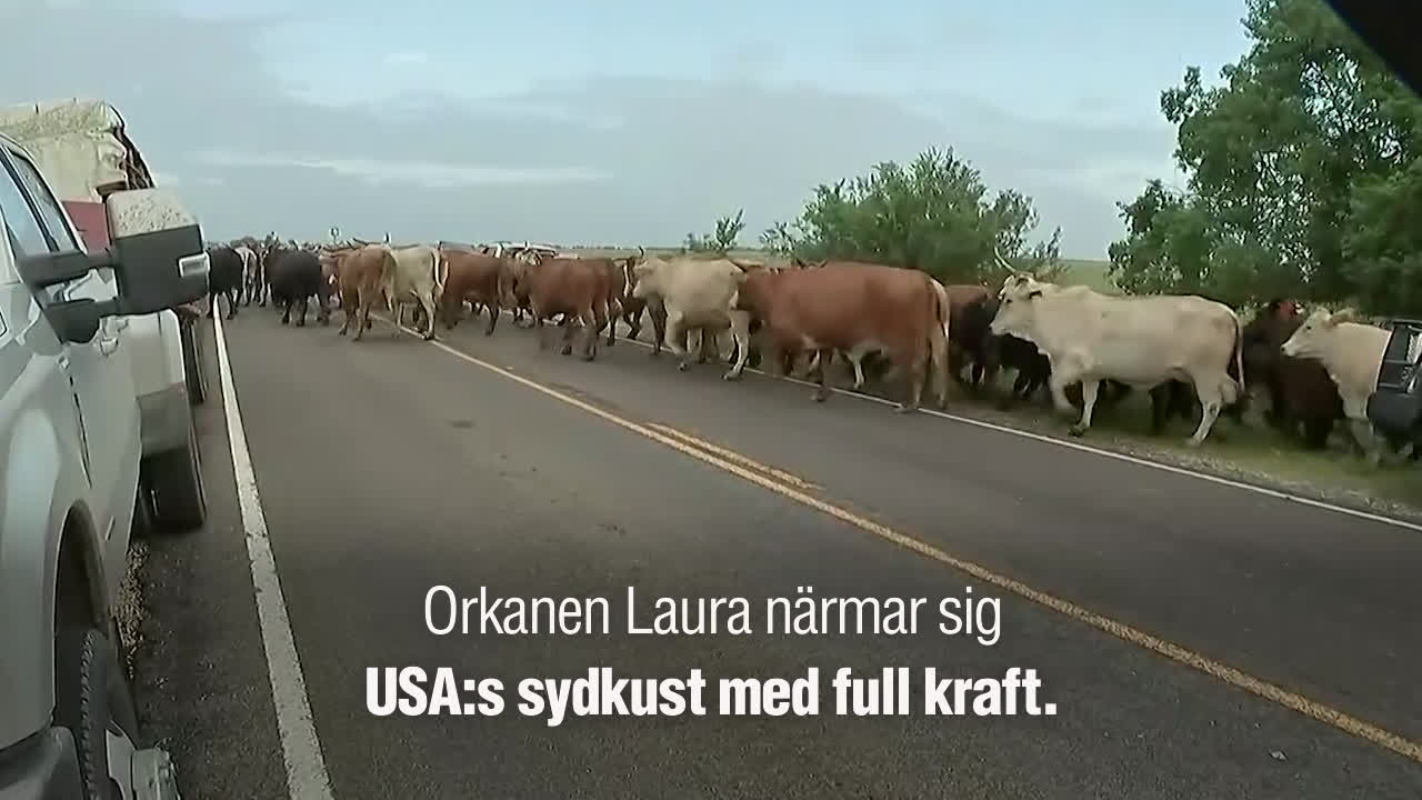 Orkanen Laura drar in över södra USA:s kust