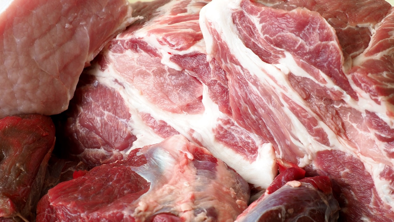 Forskarnas rekommendationer för köttätare