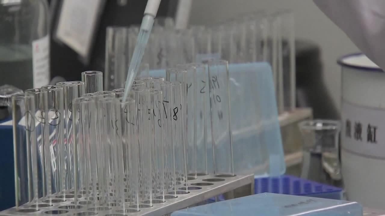 Coronavaccin har testats på kaniner – hör forskaren om resultaten