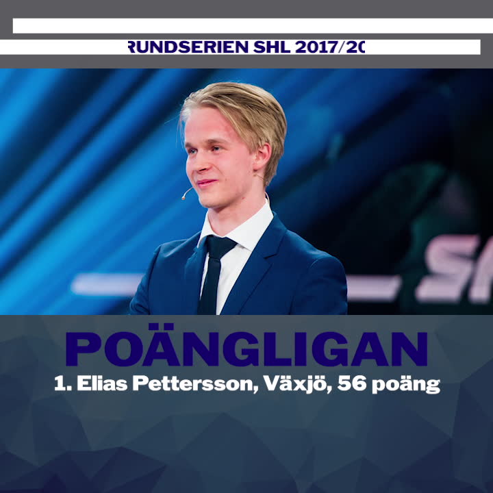 De var bäst i SHL förra säsongen