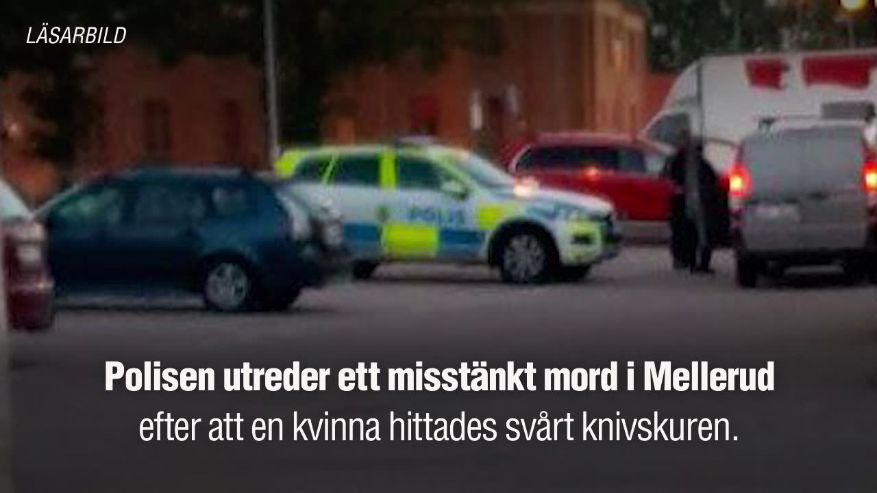 Polisen har gripit misstänkt gärningsman