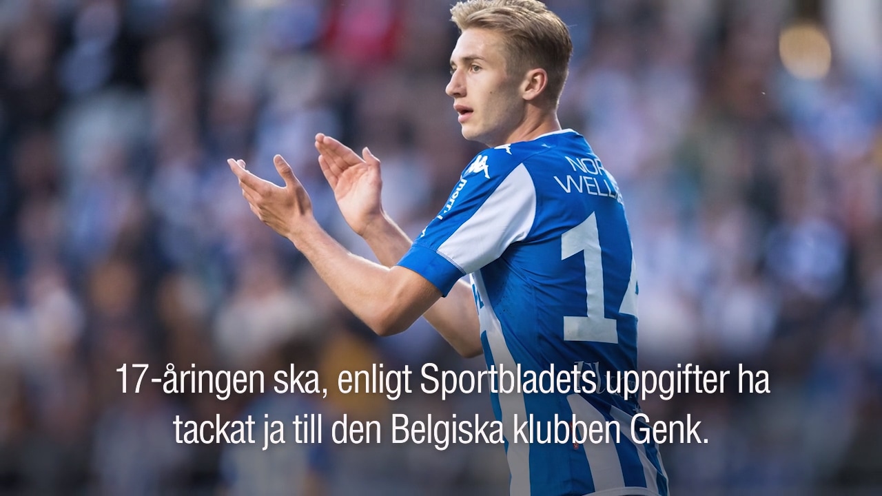 Uppgifter: Nygren har tackat ja till Genk