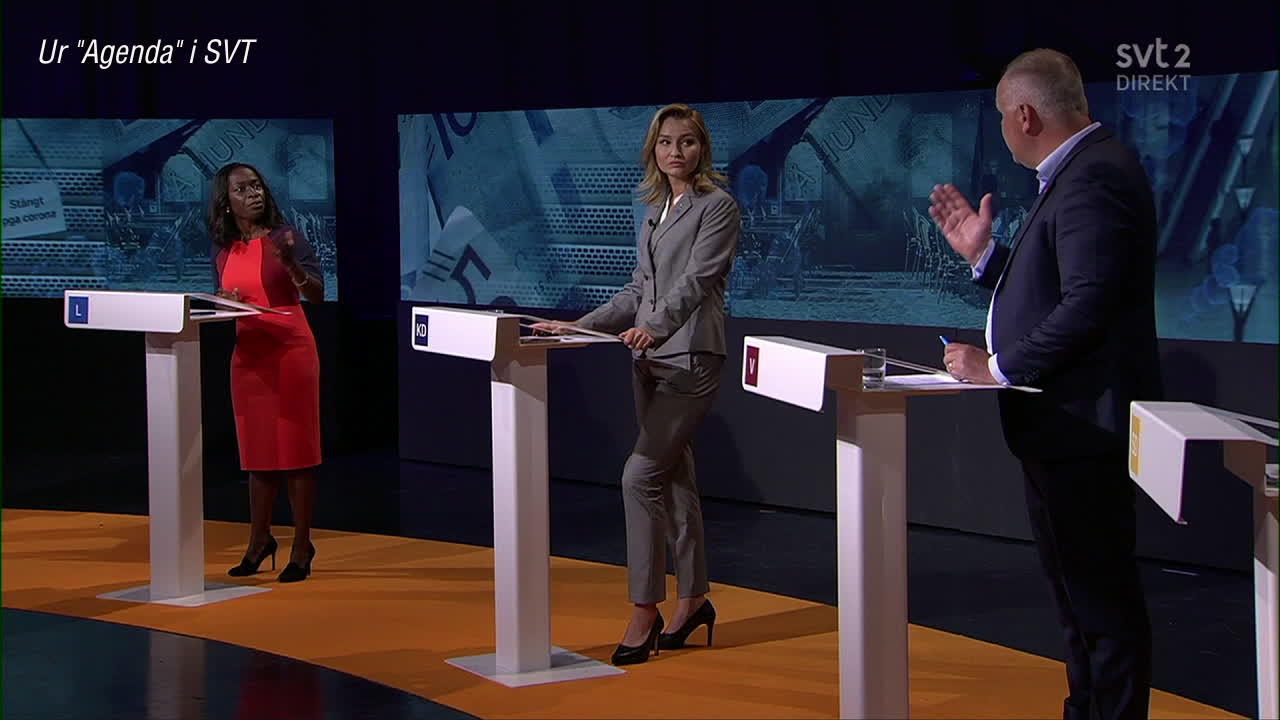 Sjöstedts lobbyistattack mot Nyamko Sabuni