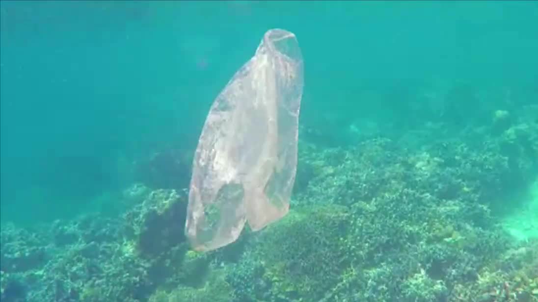 Här är butiken som slutar med plastkassar