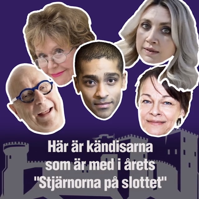 Det här är årets upplaga av "Stjärnorna på slottet"