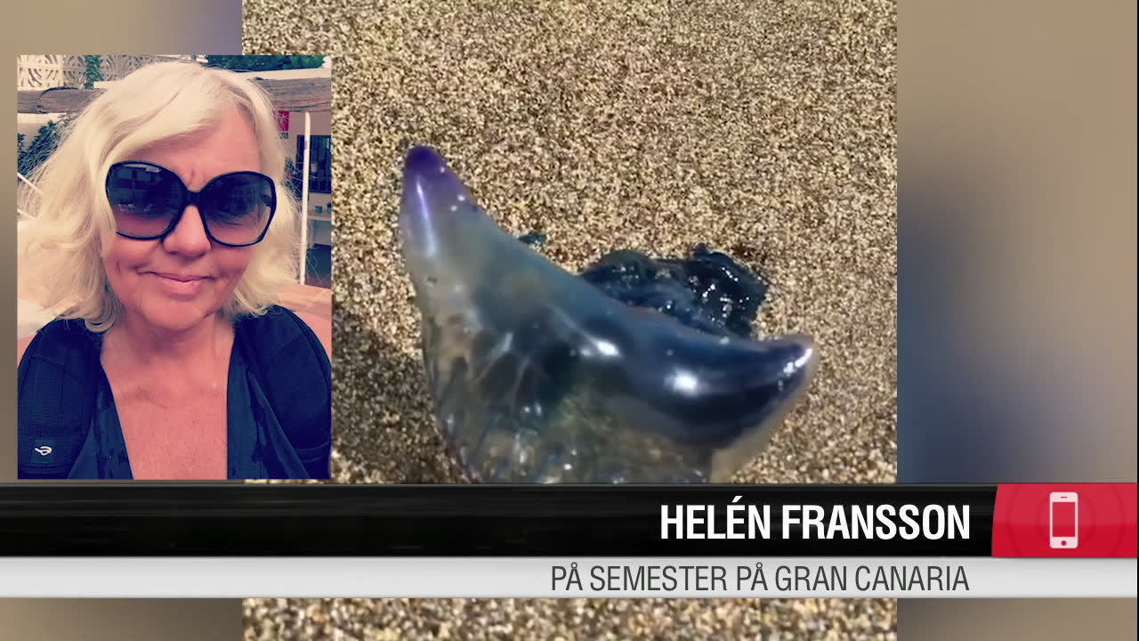 Hittade 'djävulsmanet' – i svenskparadiset