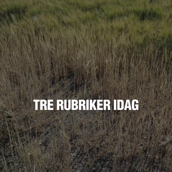 Tre rubriker - 30 juli