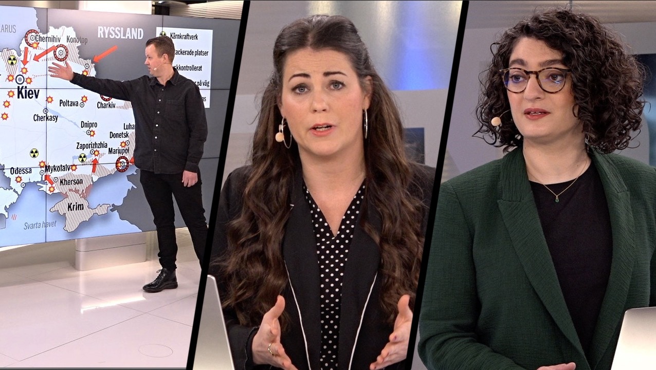 Krigsrapporten 10 mars - två veckor av krig