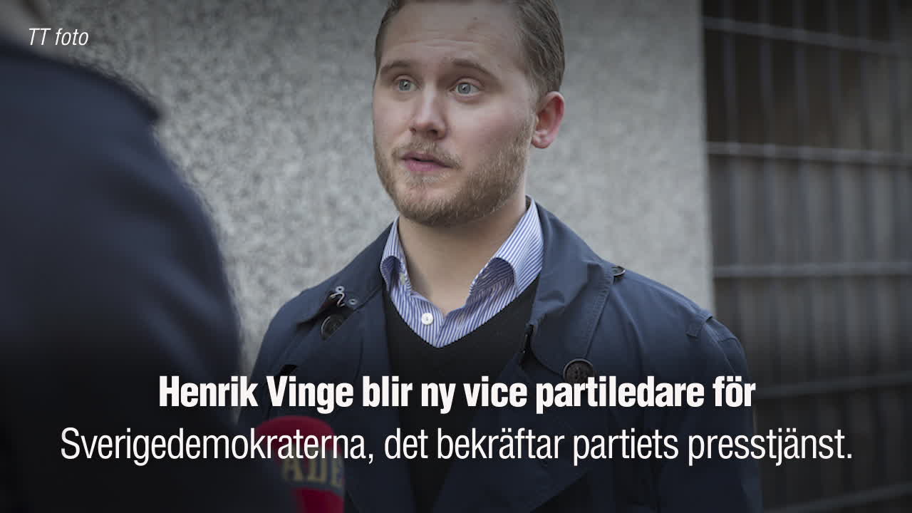 Henrik Vinge ny vice partiledare för SD