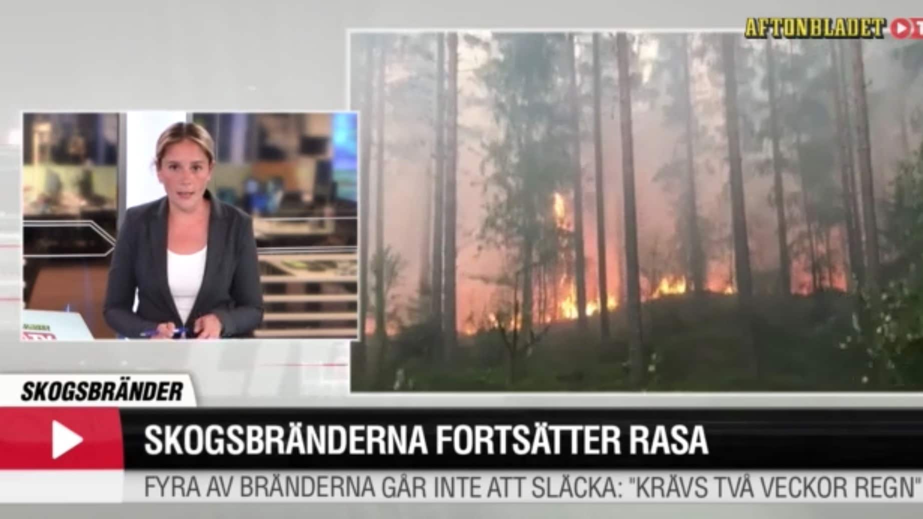 Skogsbränder fortsätter rasa