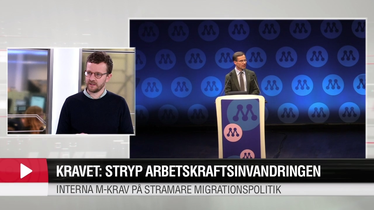 Kravet: Stryp arbetskraftsinvandringen