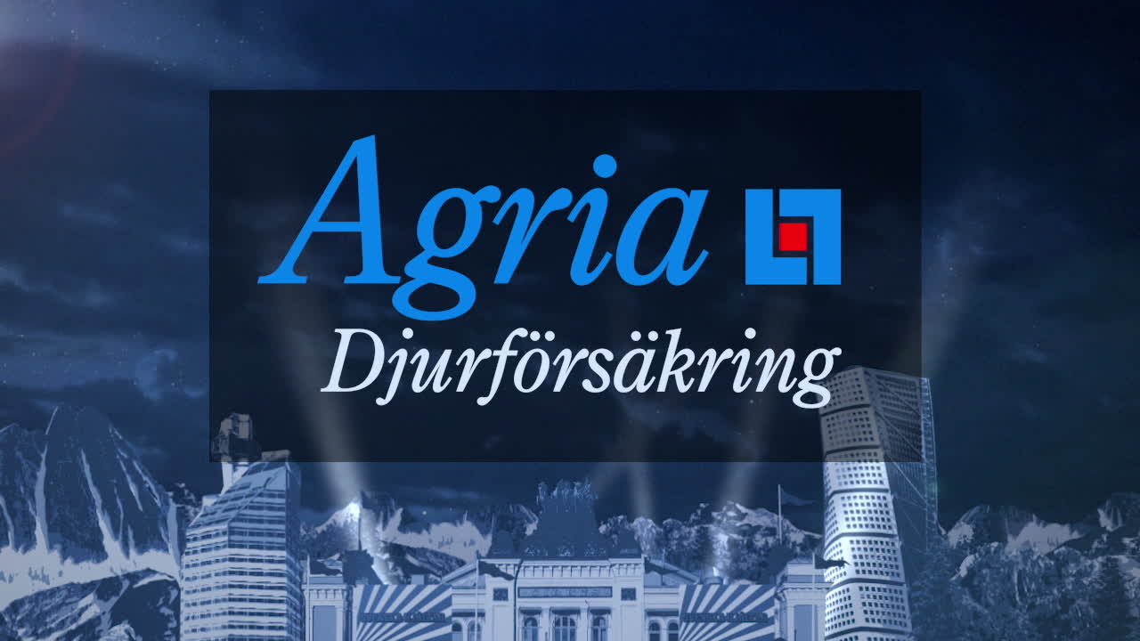 Här anländer stjärnorna till röda mattan