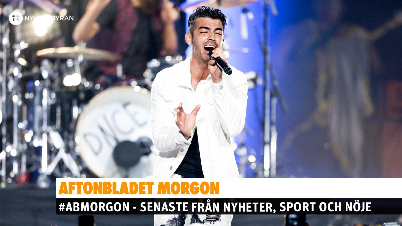 Stjärnans galna krav - 12 hundvalpar