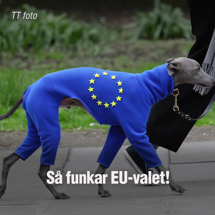 Så funkar valet till EU-parlamentet