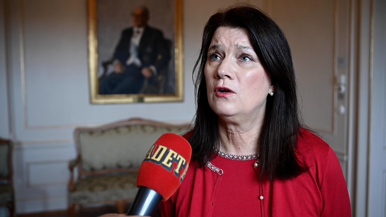 Utrikesministern om krisen: "Ryssland har fortfarande en enorm truppansamling"