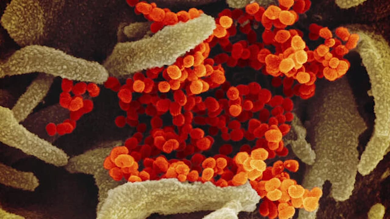 Viktigaste coronanyheterna  – detta har hänt