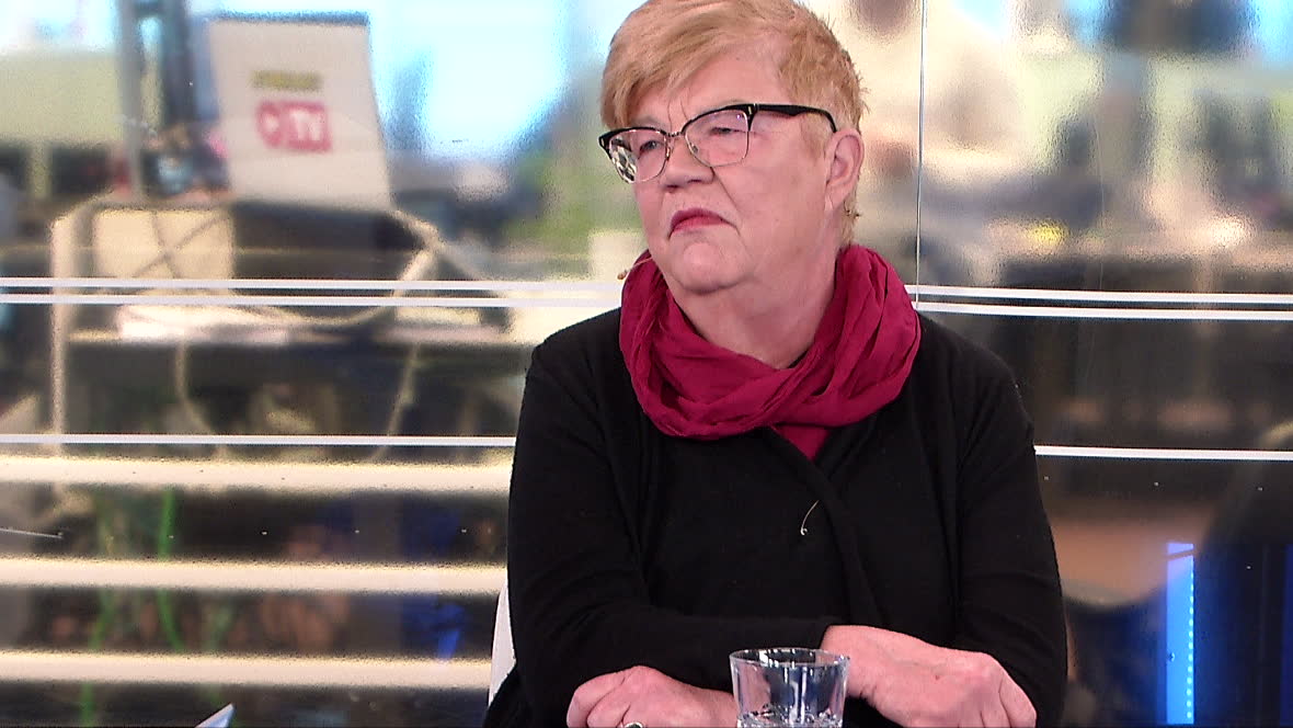 Lena Mellin om debatten