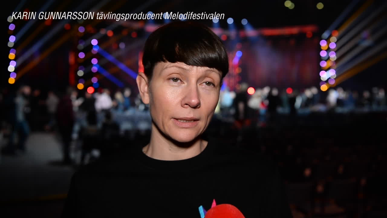 Karin Gunnarsson om bakgrundskoll: "Vi tar inte ut några brottregister"