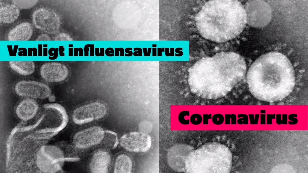 Så smittsamt är coronaviruset