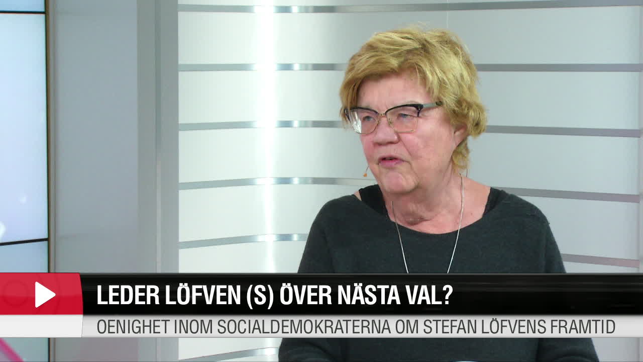 Leder Löfven (S) genom nästa val?