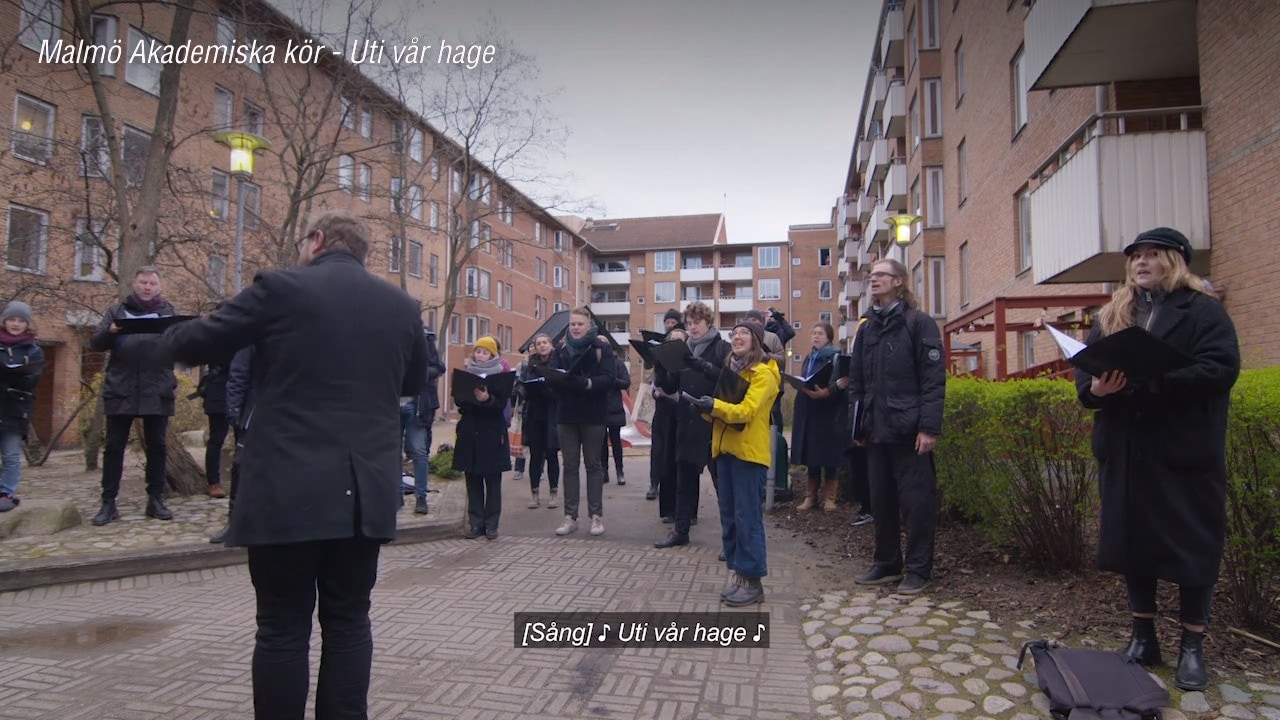 Här sjunger kören för folk i karantän