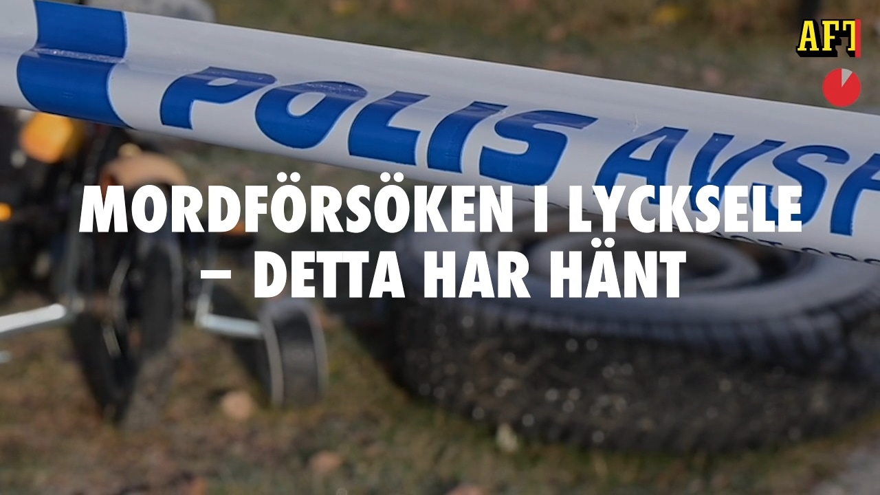Mordförsöken i Lycksele – detta har hänt