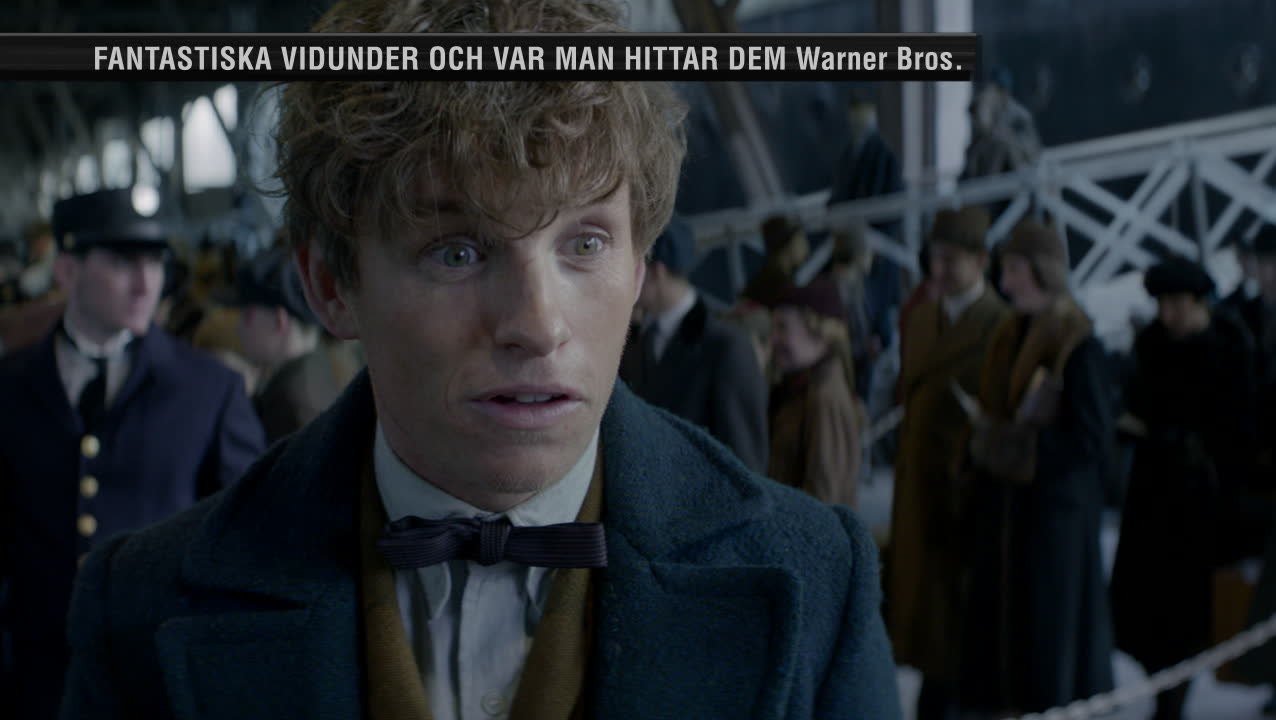 Så bra är "Fantastiska vidunder och var man hittar dem"