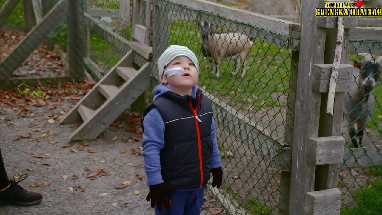 Mamman: "Det är tack vare AjaBajaCancer vi orkar"