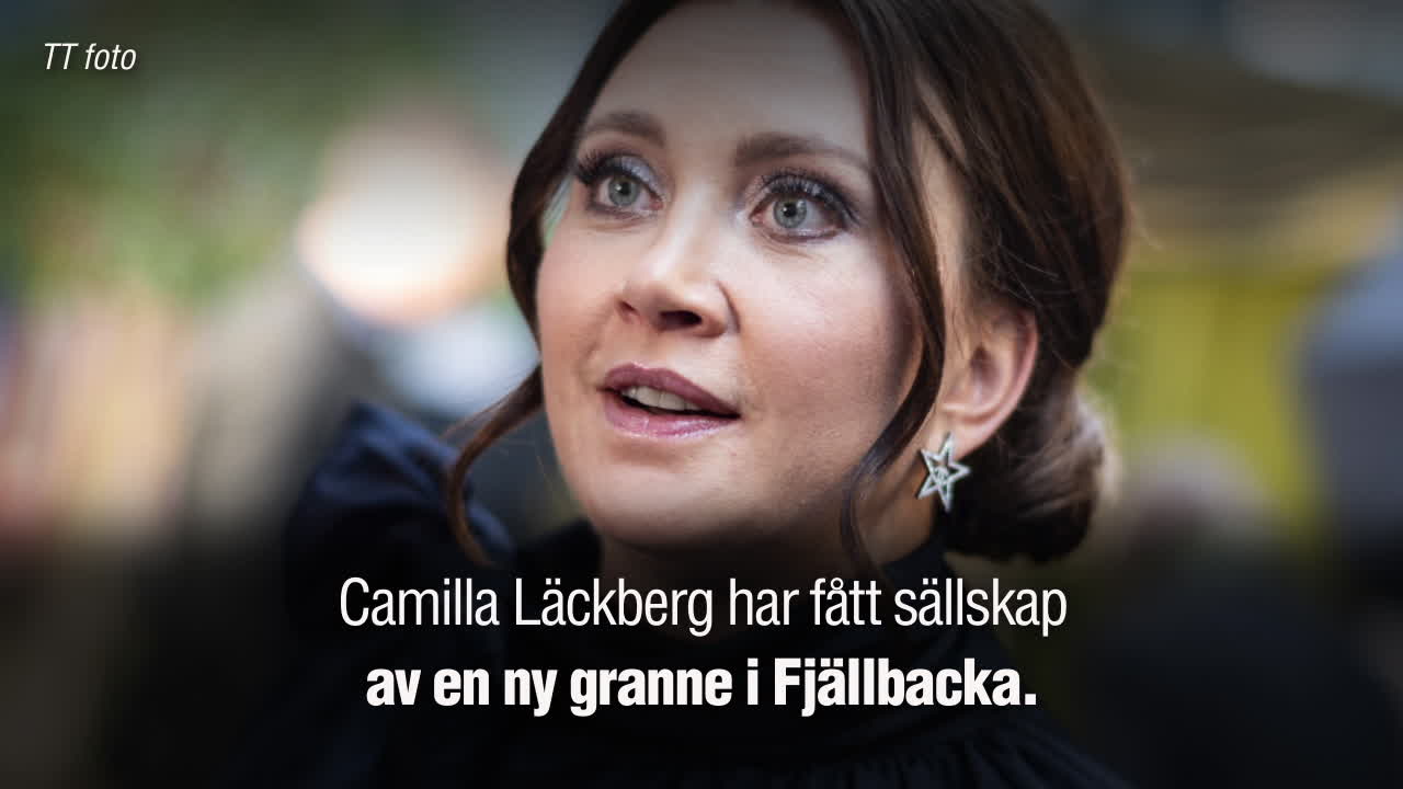 Lars Lerin har nytt drömhus – granne med Camilla Läckberg