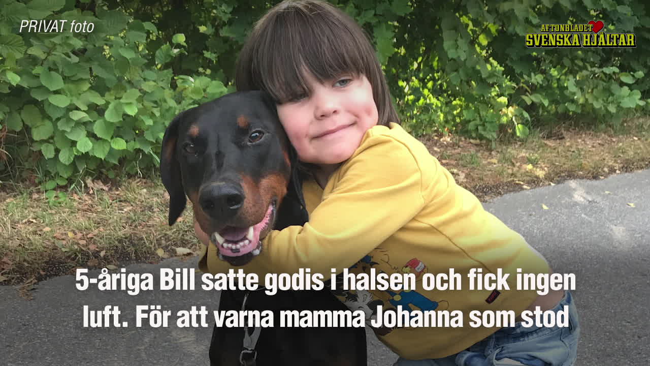 Hunden Devil varnade när Bill inte fick luft