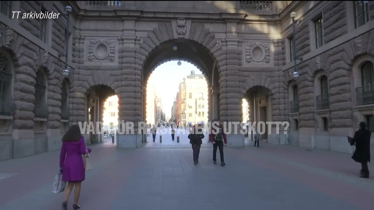 Vad gör riksdagens utskott?